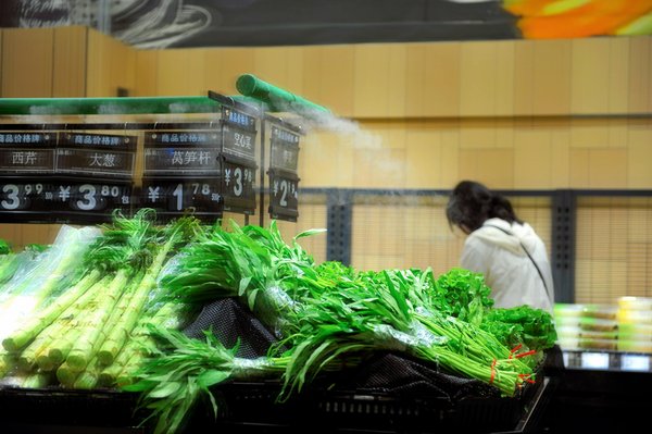 Metodi efficaci per preservare il sapore autentico dei formaggi: la guida completa.